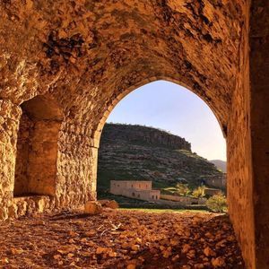 Meet your Posher, Mostafa